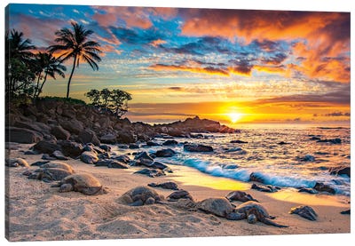 Sunset With The Bale Canvas Art Print - Beach Art