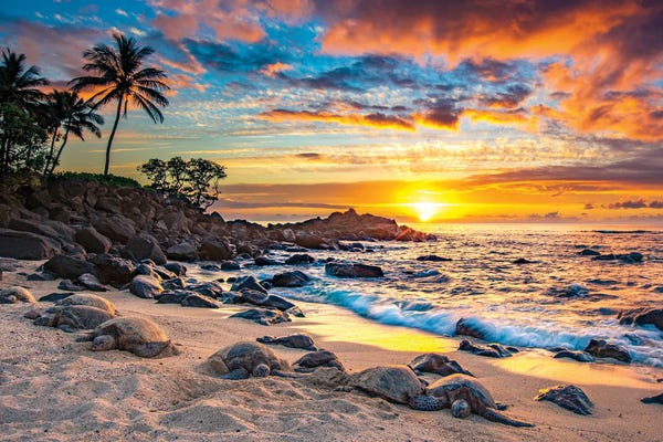 Large Photography - Canvas Prints: Sunset With The Bale by Shane Myers