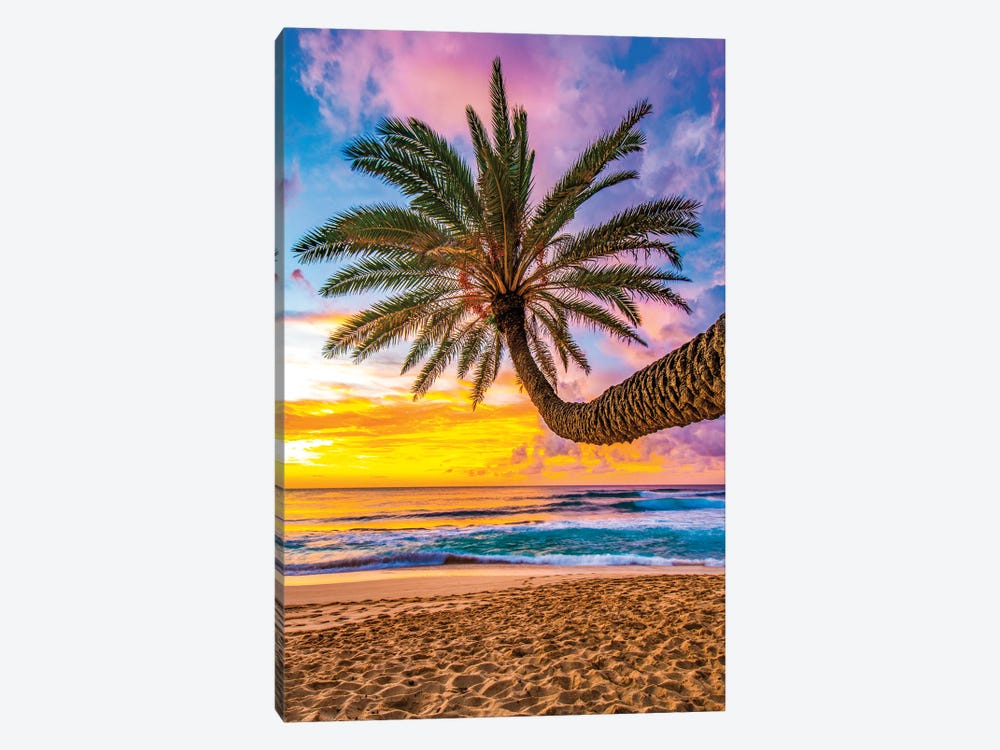 That Tree by Shane Myers 1-piece Canvas Art