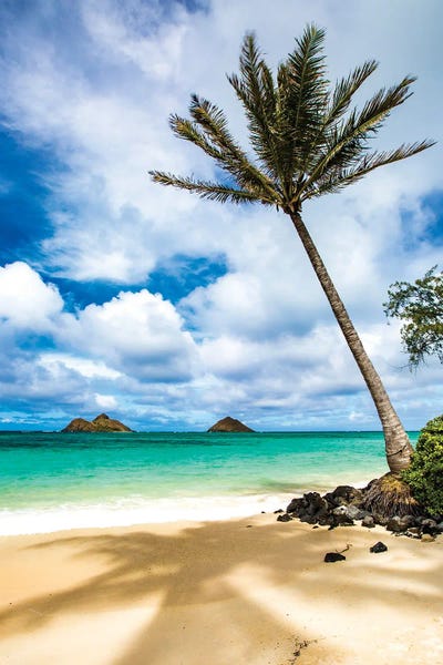 Hawaii: Shadow Talk by Shane Myers