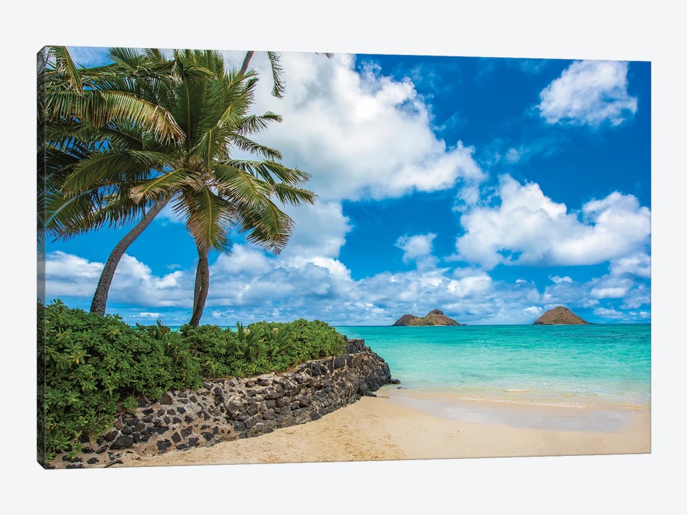 Waialae Point by Shane Myers 1-piece Canvas Art Print