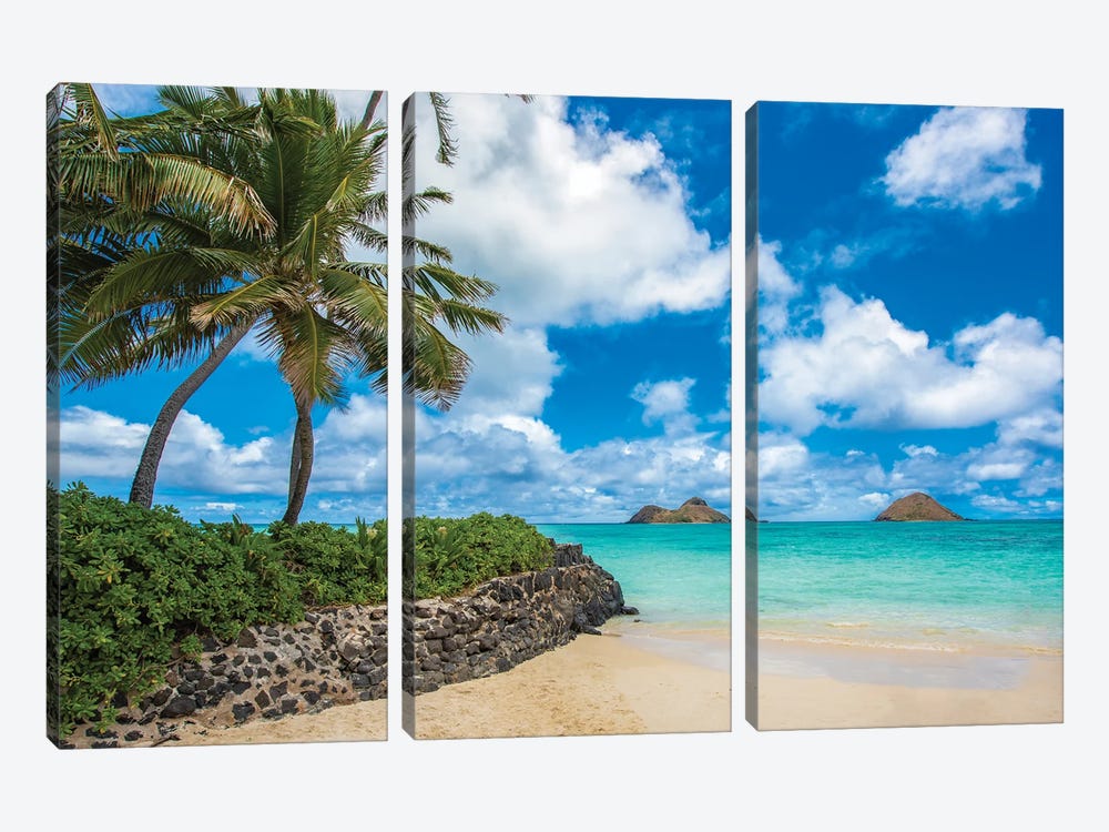 Waialae Point by Shane Myers 3-piece Canvas Print