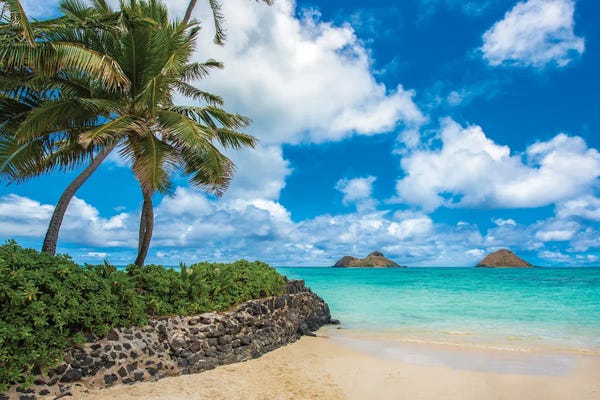 Hawaii: Waialae Point by Shane Myers