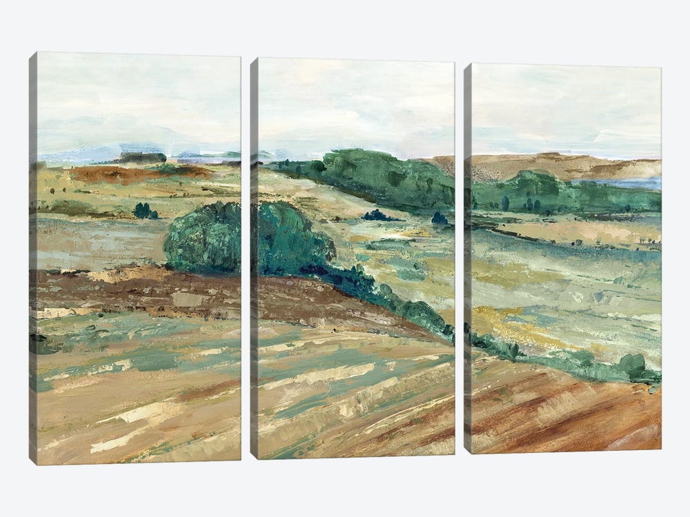 Green Prairie by Maya Woods 3-piece Canvas Art Print