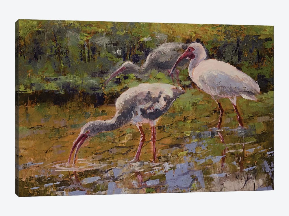 Ibis by Mary Hubley 1-piece Canvas Art Print