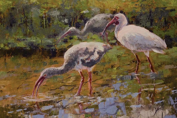 Ibises: Ibis by Mary Hubley