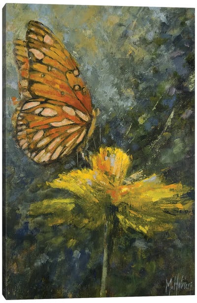 Tangerine Butterfly Canvas Art Print - Mary Hubley