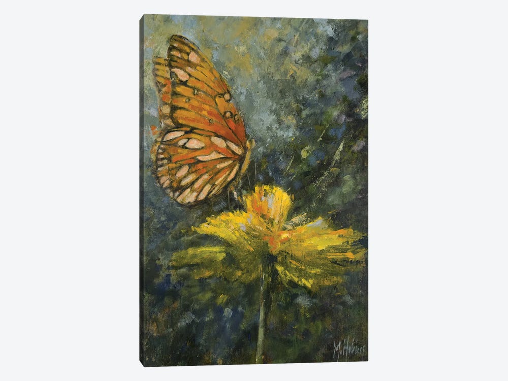 Tangerine Butterfly by Mary Hubley 1-piece Canvas Wall Art