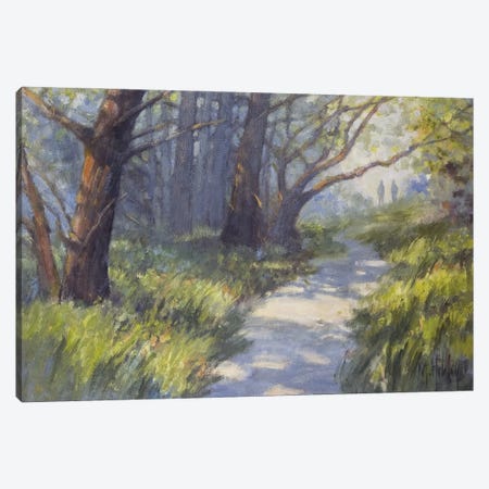 A Walk In The Woods Canvas Print #MYY2} by Mary Hubley Canvas Print
