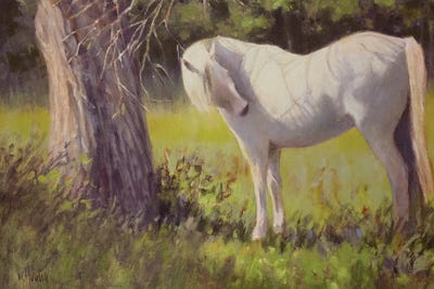 White Shadow by Mary Hubley framed wall art