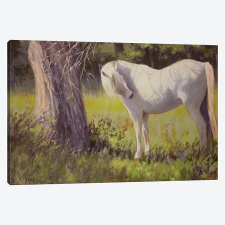 White Shadow Canvas Print #MYY30} by Mary Hubley Art Print