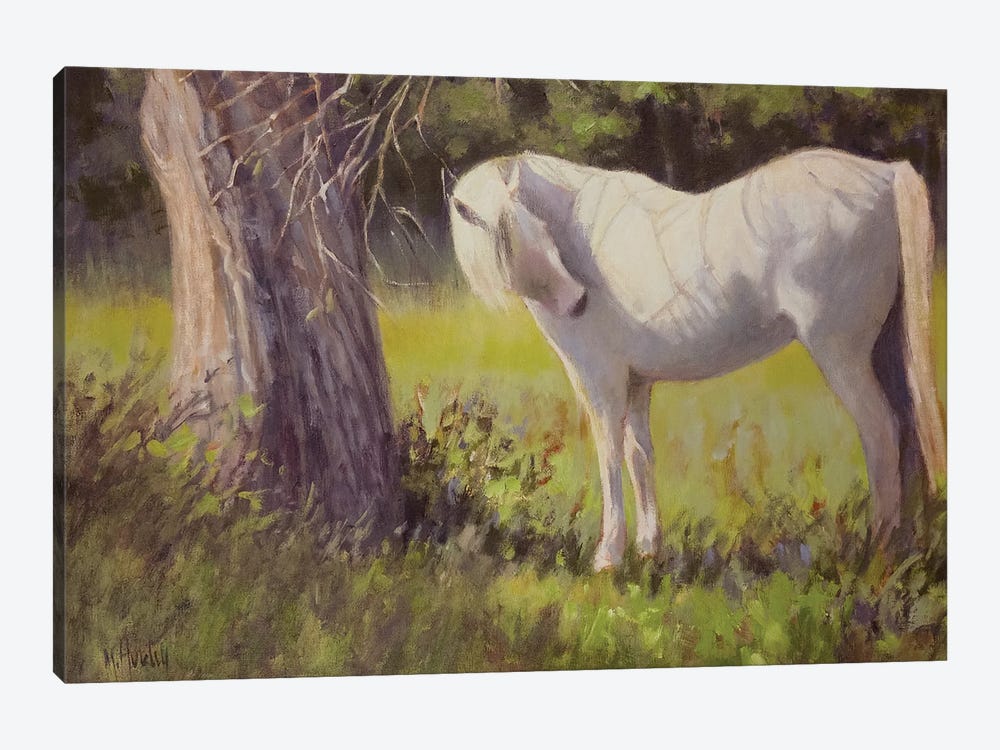 White Shadow by Mary Hubley 1-piece Canvas Wall Art