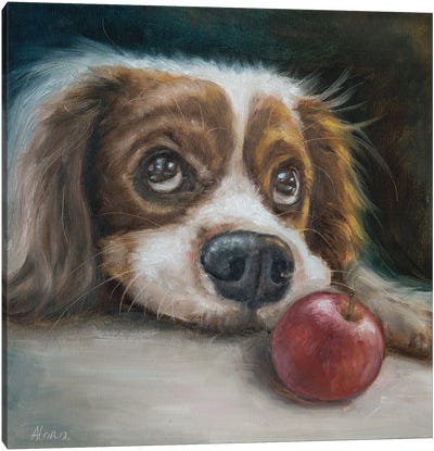 Apple Diet Canvas Art Print - Alona M