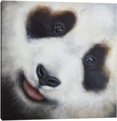 Panda Face Canvas Art Print - Alona M