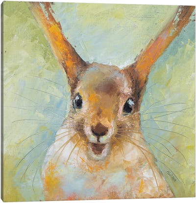 Squirrel In The Air Canvas Art Print - Squirrel Art