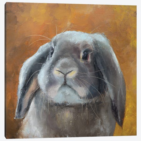 Silver Bunny Canvas Print #MZA24} by Alona M Canvas Print