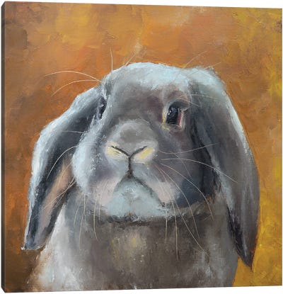 Silver Bunny Canvas Art Print - Pet Obsessed