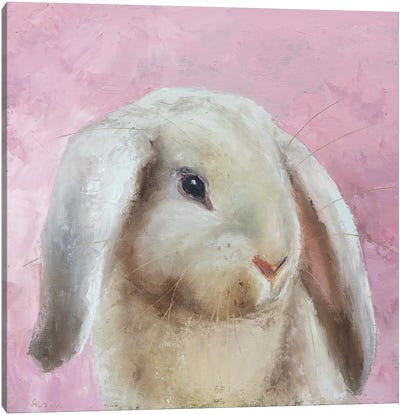 Pearl Rabbit Canvas Art Print - Alona M
