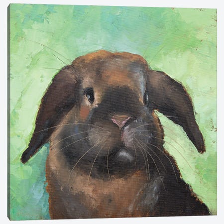 Chocolate Bunny Canvas Print #MZA26} by Alona M Art Print