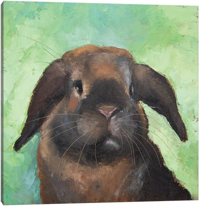 Chocolate Bunny Canvas Art Print - Alona M