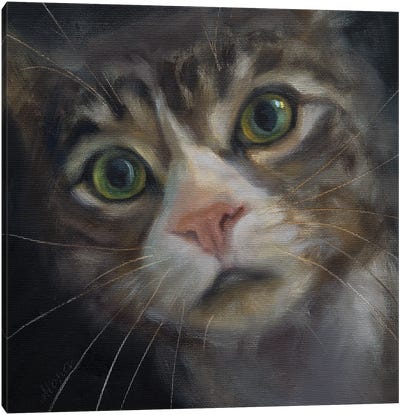 Cats Don't Lie Canvas Art Print - Tabby Cat Art