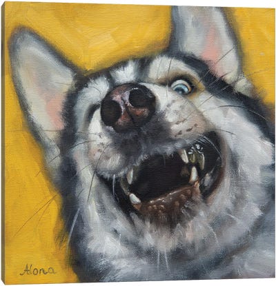Silly Me Canvas Art Print - Siberian Husky Art