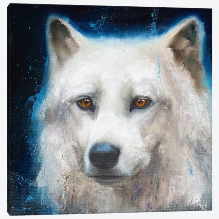 Arctic Canvas Print #MZA46} by Alona M Canvas Print