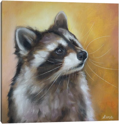 Thoughtfulness Canvas Art Print - Raccoon Art