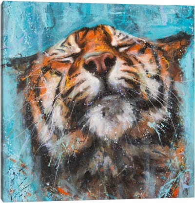 Peaceful Mind Canvas Art Print - Tiger Art