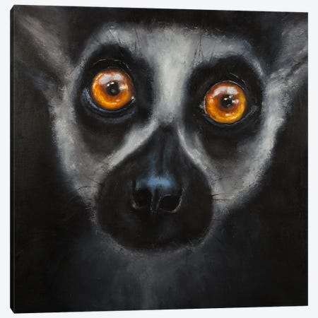 Wild Lemur Canvas Print #MZA59} by Alona M Art Print
