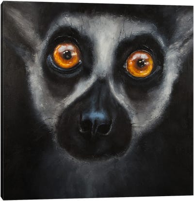Wild Lemur Canvas Art Print - Primate Art