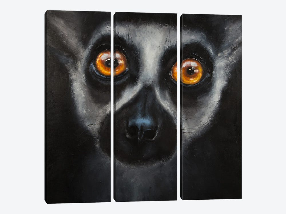 Wild Lemur by Alona M 3-piece Canvas Art Print
