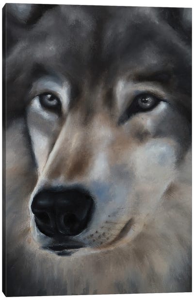 White Fang Canvas Art Print - Wolf Art