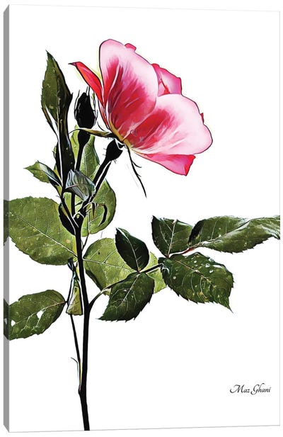 Rosey Canvas Art Print - Maz Ghani