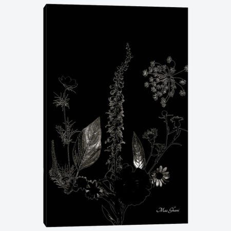 Ghost In The Seed Canvas Print #MZG31} by Maz Ghani Canvas Print