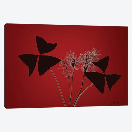 Red Luck Canvas Print #MZG32} by Maz Ghani Canvas Art Print