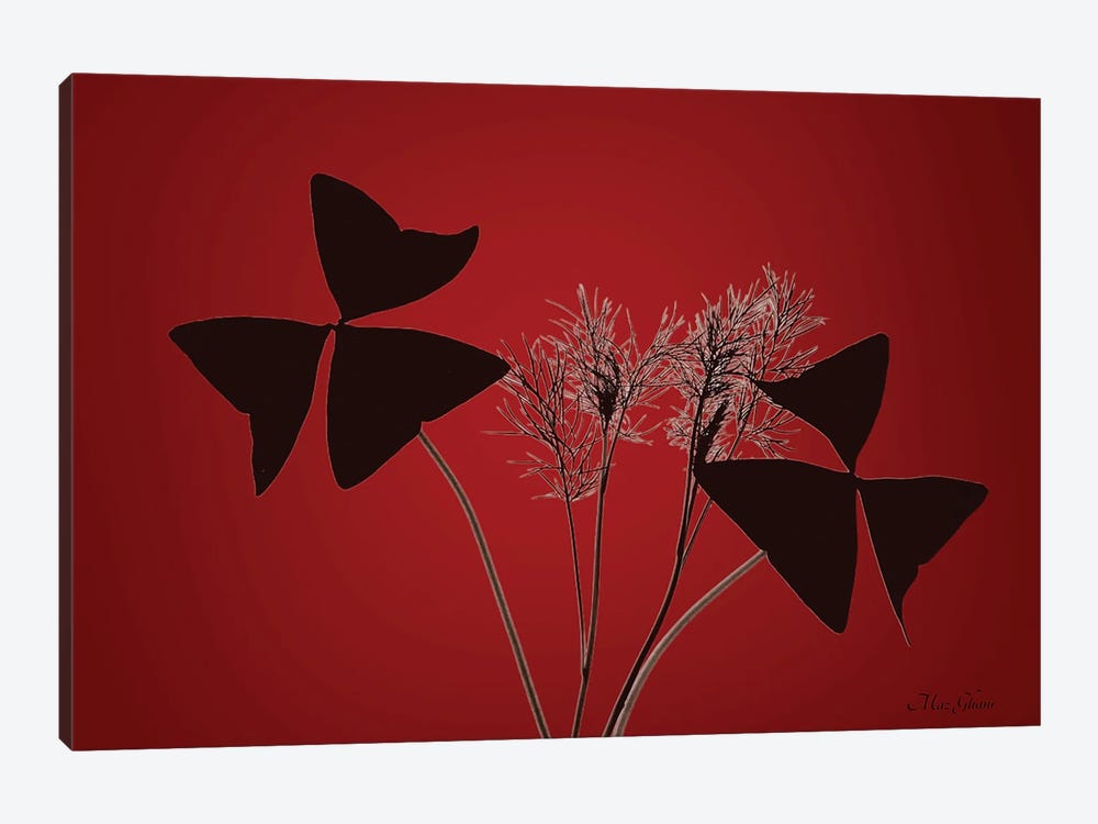 Red Luck by Maz Ghani 1-piece Canvas Artwork
