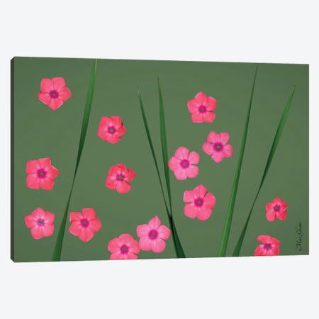 Blades Of Pink Canvas Print #MZG33} by Maz Ghani Art Print