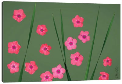 Blades Of Pink Canvas Art Print - Maz Ghani