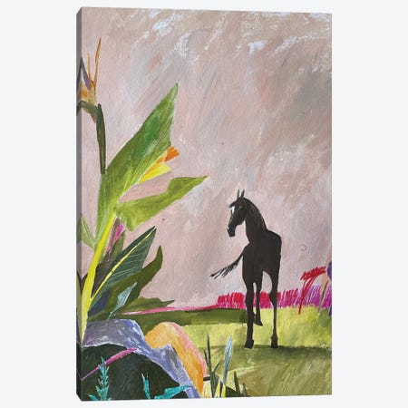 Horse Canvas Print #MZS30} by Anastasia Mazur-Skrobova Canvas Print