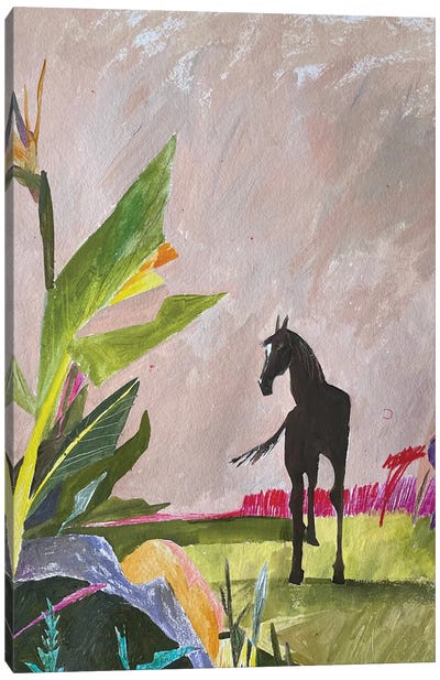 Horse Canvas Art Print - Anastasia Mazur-Skrobova