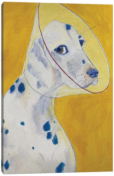 Dalmatian II Canvas Art Print - The Modern Man's Best Friend