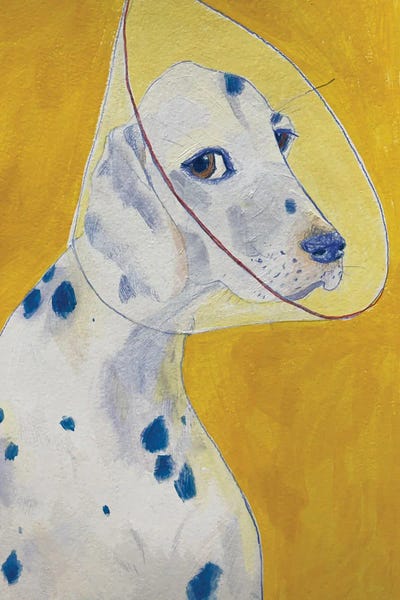 Anastasia Mazur-Skrobova: Dalmatian II by Anastasia Mazur-Skrobova
