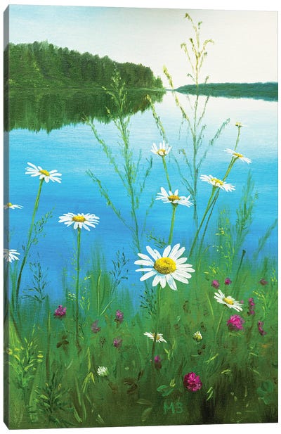 In Summer Canvas Art Print - Daisy Art