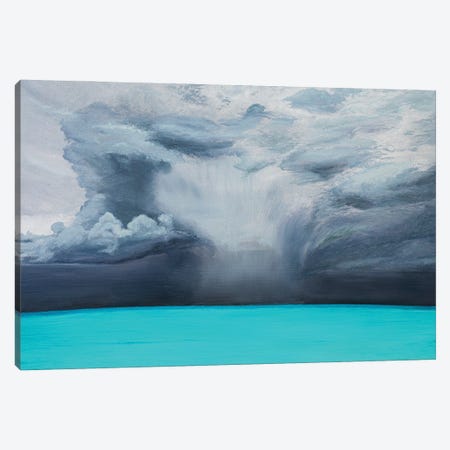 Tropical Thunderstorm Canvas Print #MZT26} by Marina Zotova Canvas Artwork