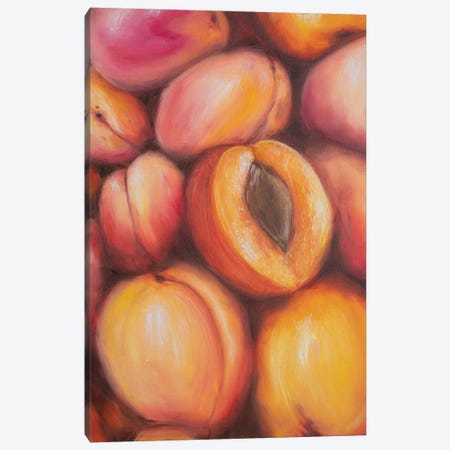 Sweet Peaches Canvas Print #MZT33} by Marina Zotova Canvas Artwork