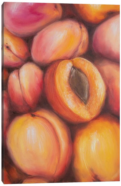 Sweet Peaches Canvas Art Print - Marina Zotova