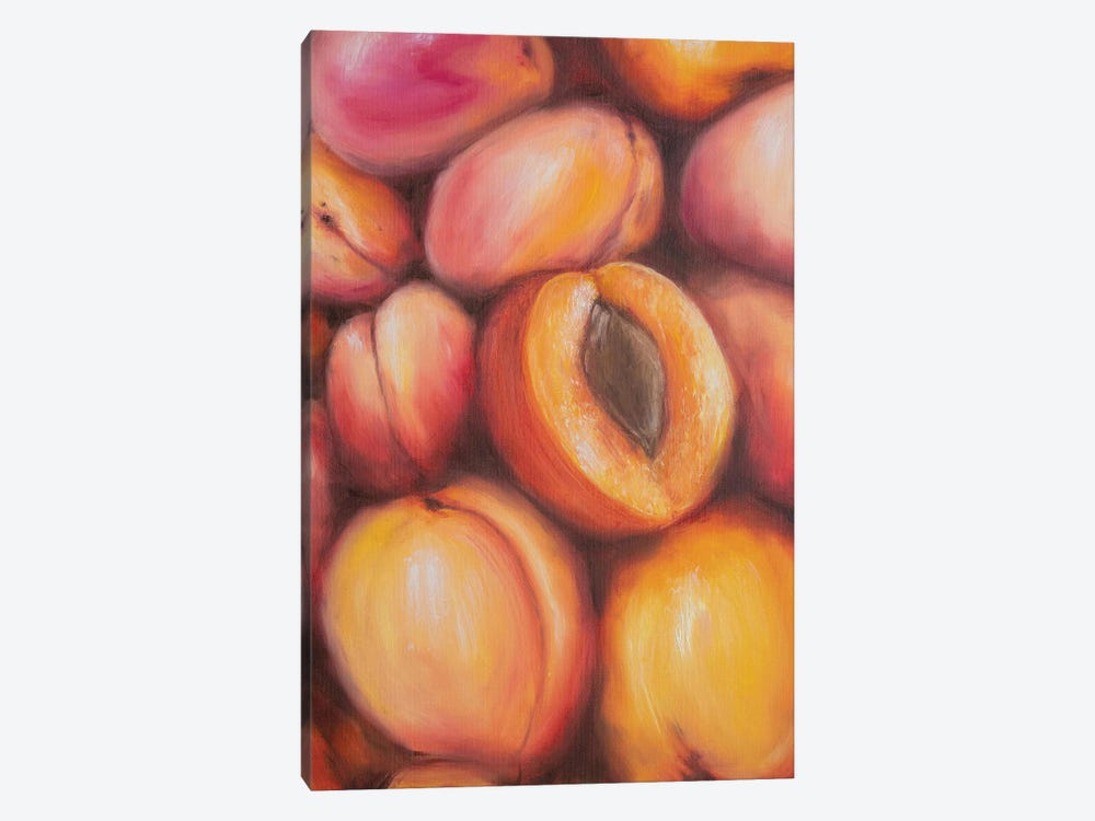Sweet Peaches by Marina Zotova 1-piece Canvas Artwork