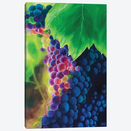 Sunny Grapes Canvas Print #MZT34} by Marina Zotova Art Print