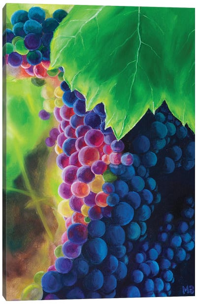 Sunny Grapes Canvas Art Print - Grape Art